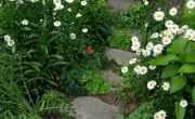 gardenpath_1