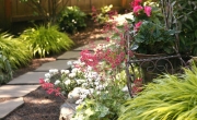 gardenpath_2